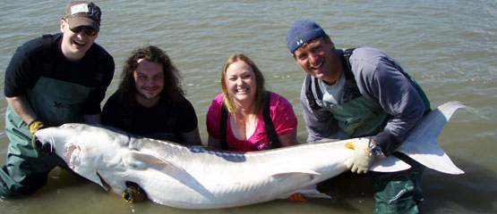 A good catch