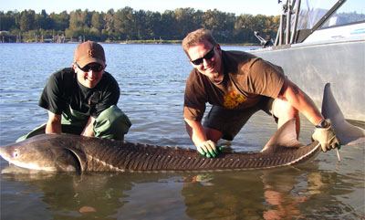 A good catch