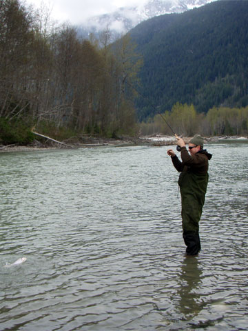 salmon-trout-char fishing photos