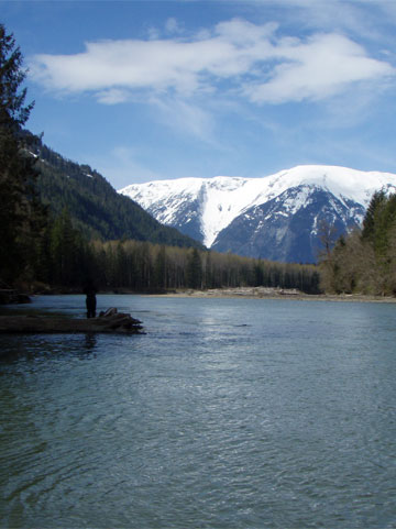 salmon-trout-char fishing photos