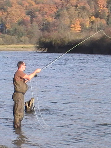 salmon fishing photos
