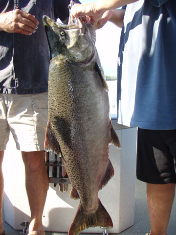 salmon fishing photos