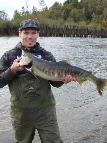 salmon fishing photos