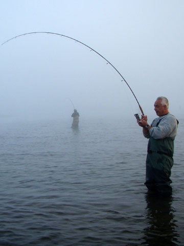 salmon fishing photos