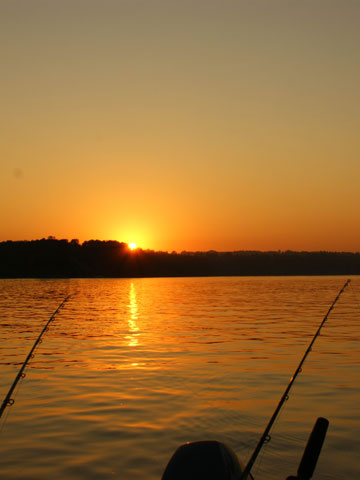 salmon fishing photos