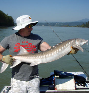 Fraser River sturgeon fishing guide photos